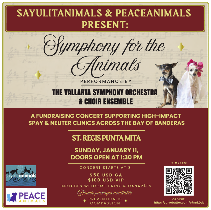🎶 Symphony for the Animals: A Concert Benefiting Sayulita’s Longest-Running Animal Welfare Program
